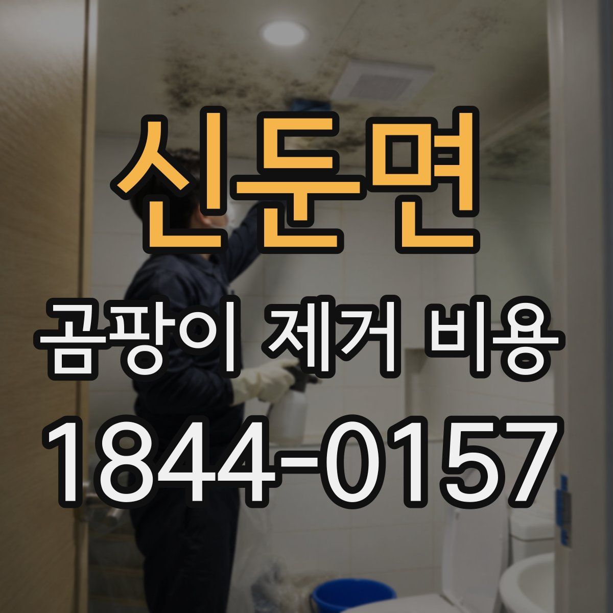 신둔면 곰팡이 제거 비용