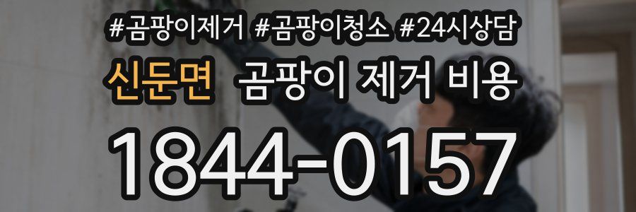 신둔면 곰팡이 제거 비용