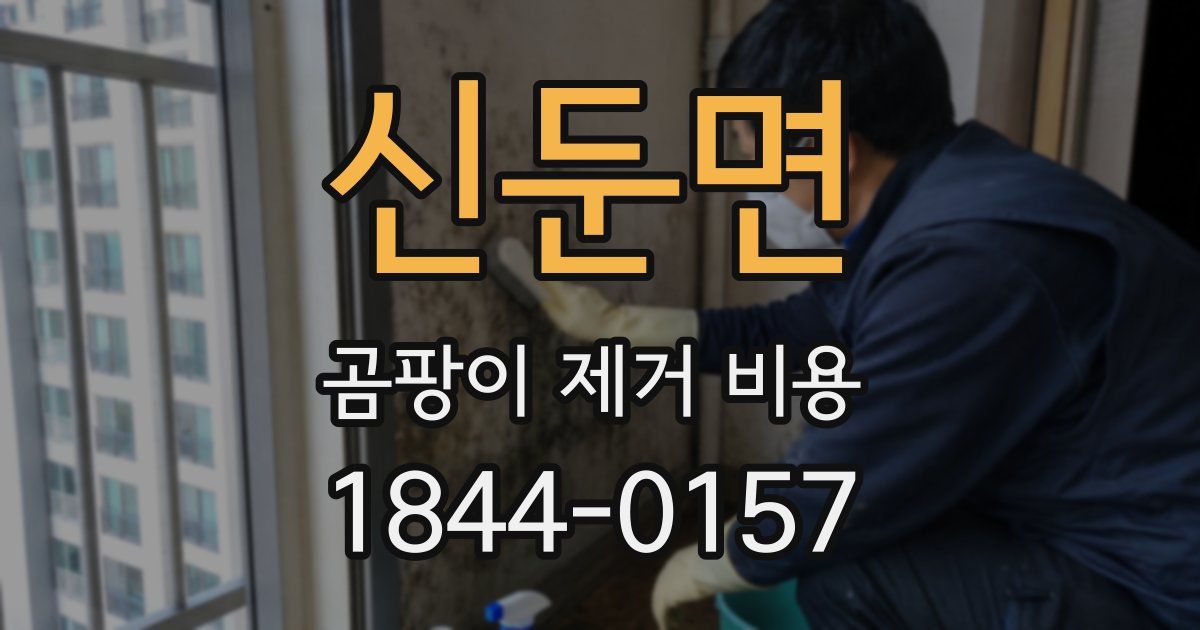 신둔면 곰팡이 제거 비용