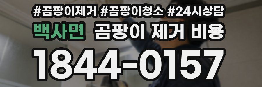 백사면 곰팡이 제거 비용