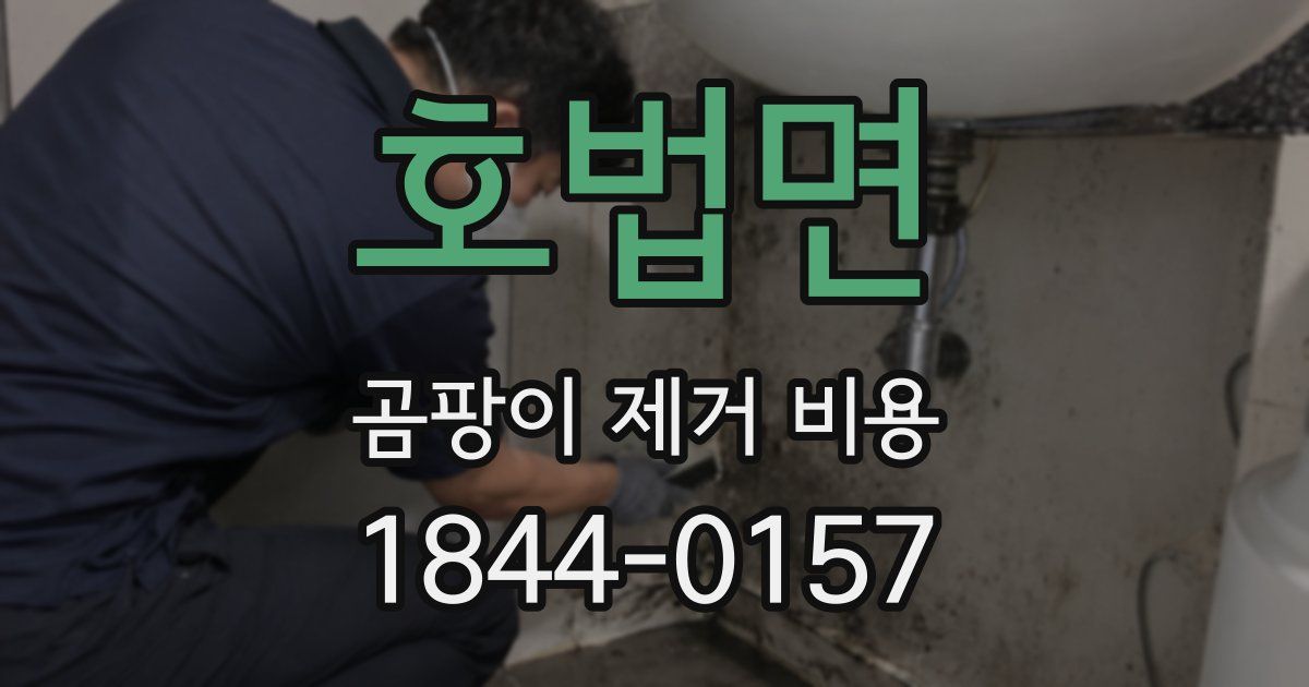 호법면 곰팡이 제거 비용