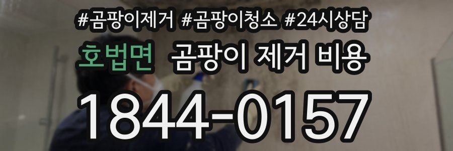 호법면 곰팡이 제거 비용