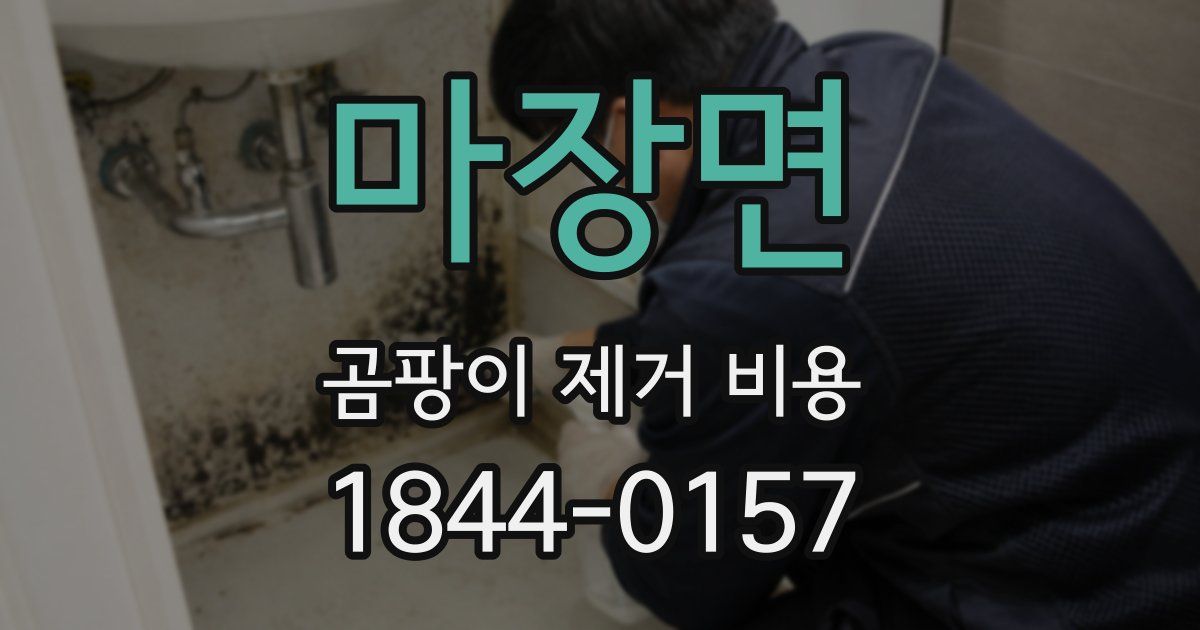마장면 곰팡이 제거 비용