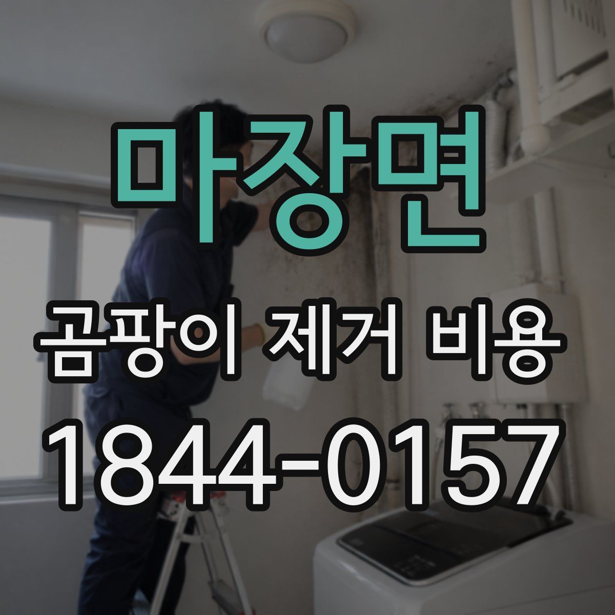 마장면 곰팡이 제거 비용