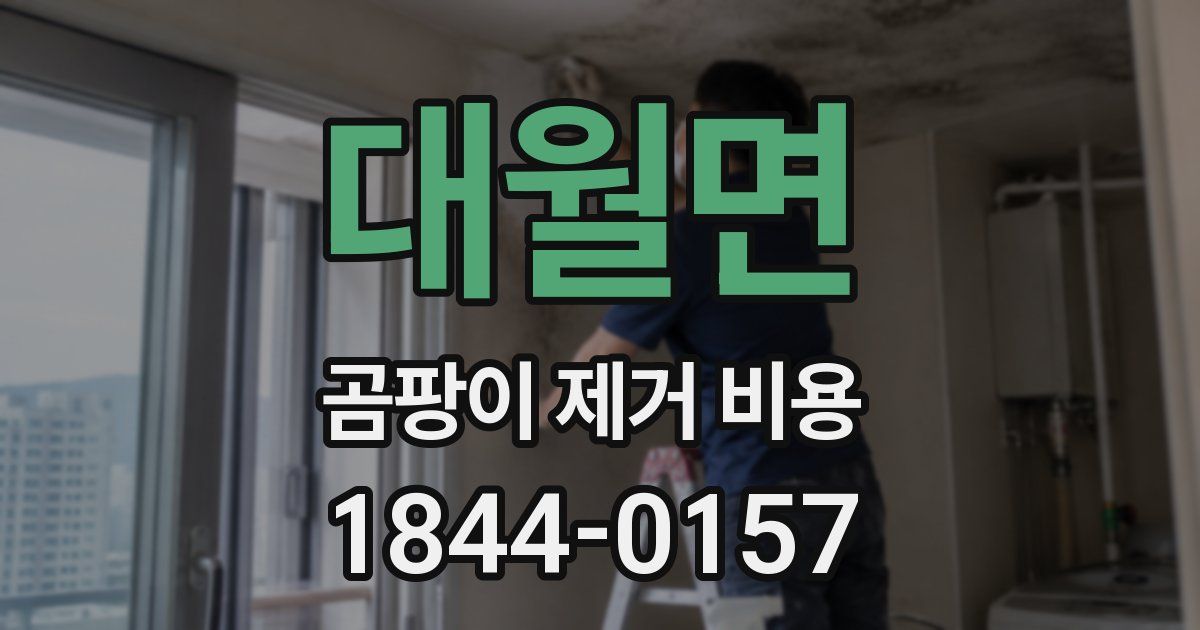 대월면 곰팡이 제거 비용