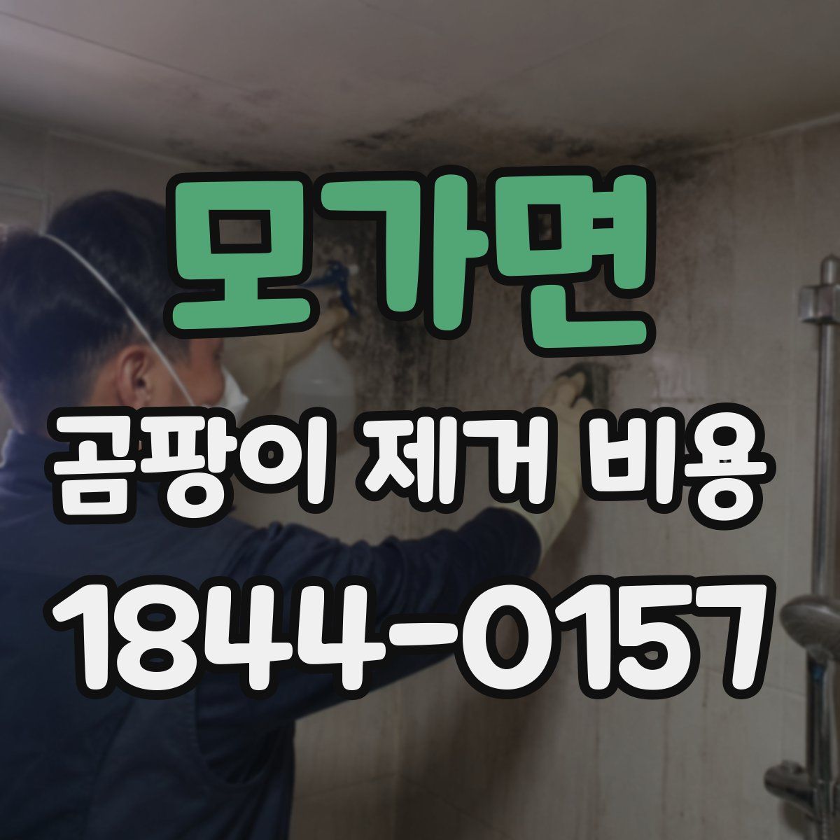 모가면 곰팡이 제거 비용