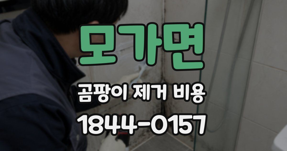 모가면 곰팡이 제거 비용