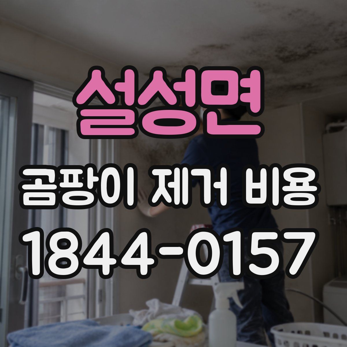 설성면 곰팡이 제거 비용