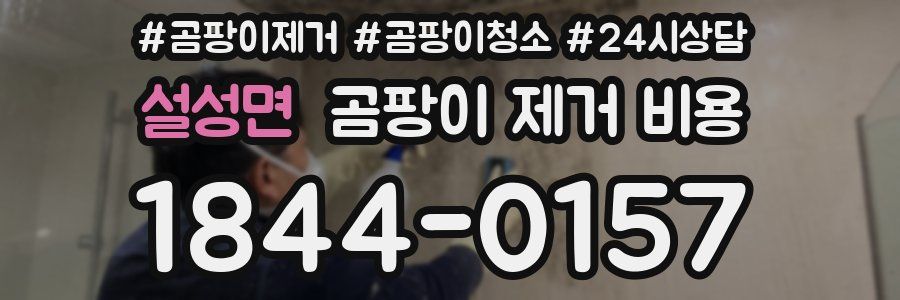 설성면 곰팡이 제거 비용