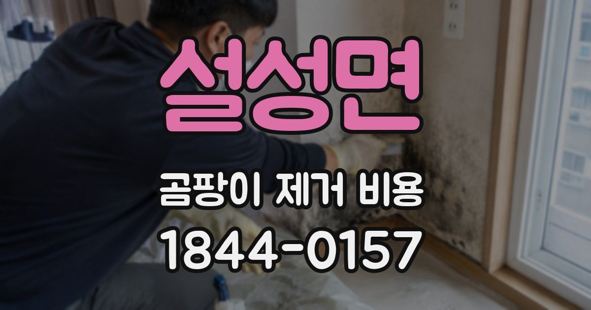 설성면 곰팡이 제거 비용