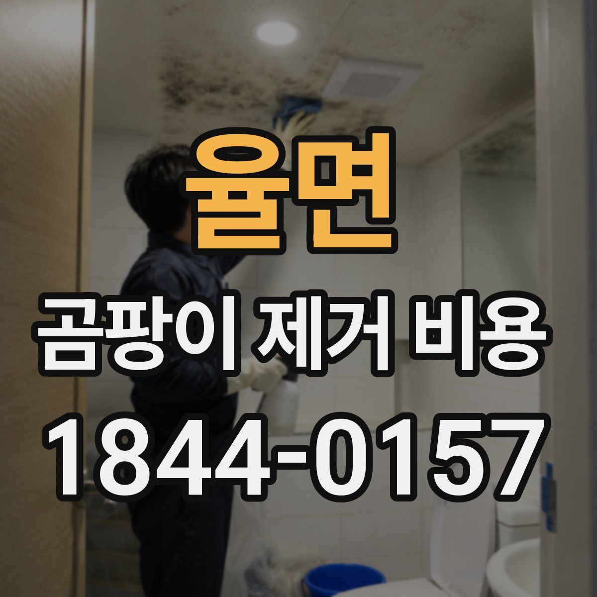 율면 곰팡이 제거 비용