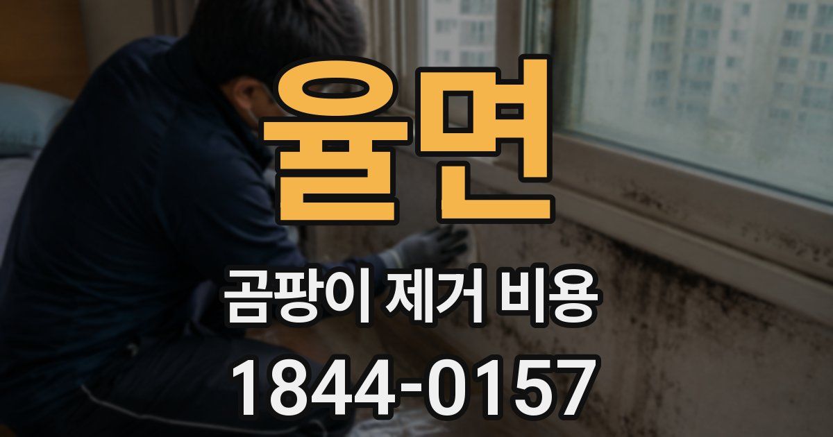 율면 곰팡이 제거 비용