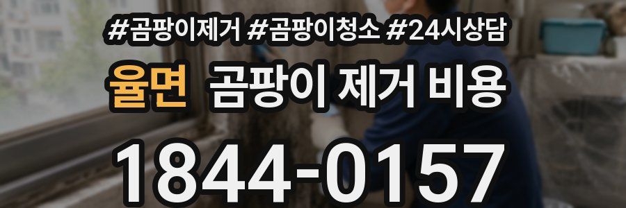 율면 곰팡이 제거 비용