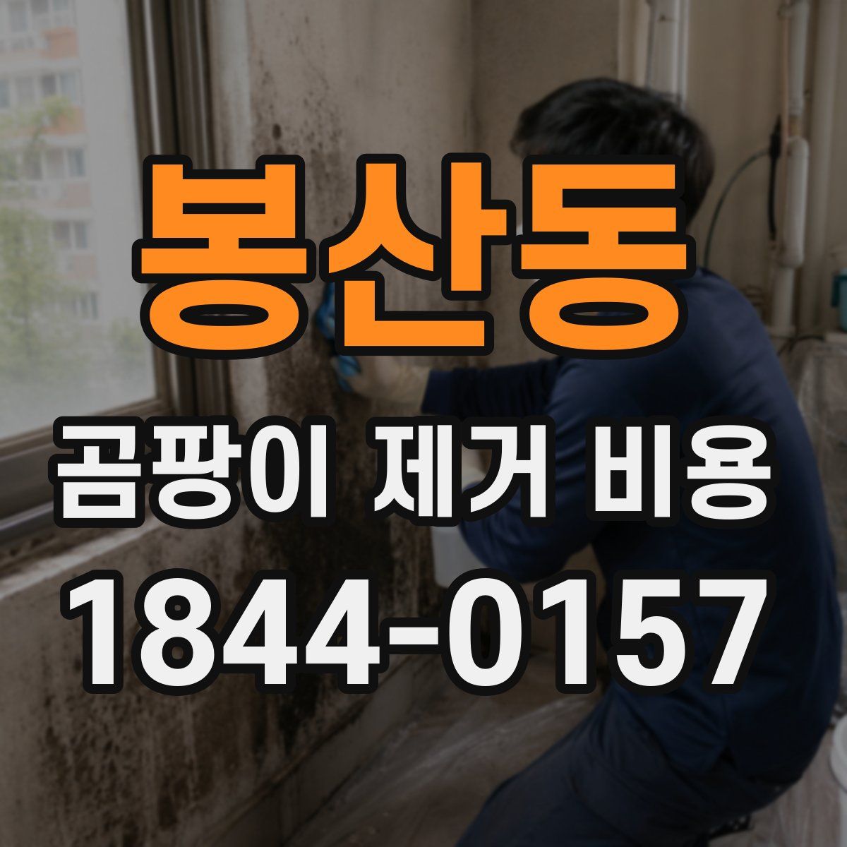 봉산동 곰팡이 제거 비용