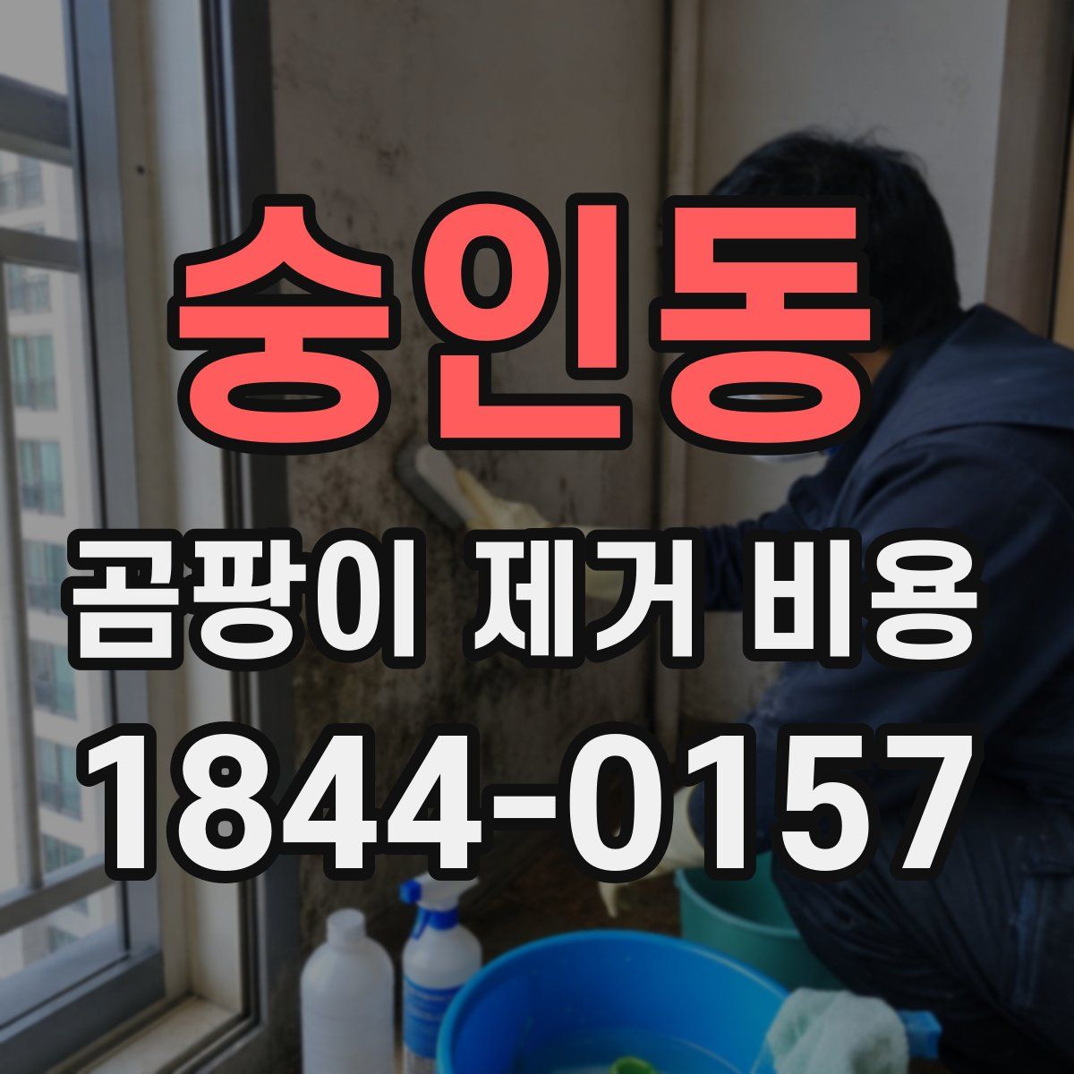 숭인동 곰팡이 제거 비용