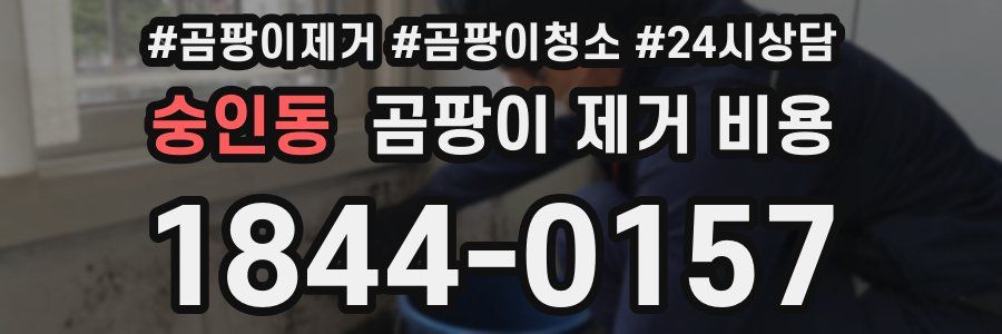 숭인동 곰팡이 제거 비용