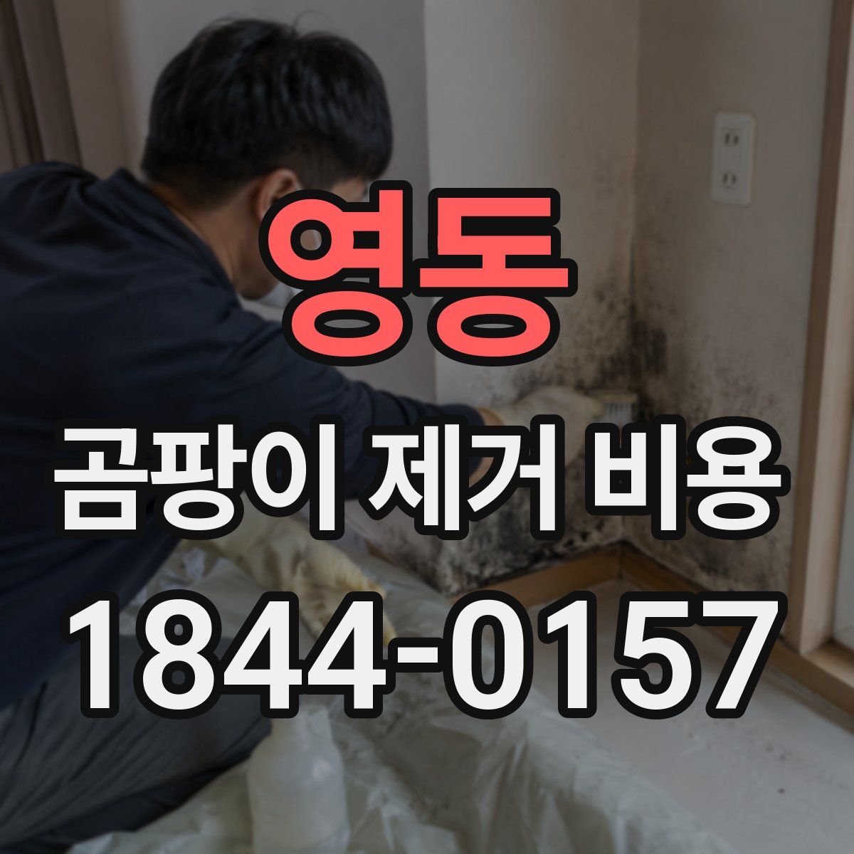 영동 곰팡이 제거 비용