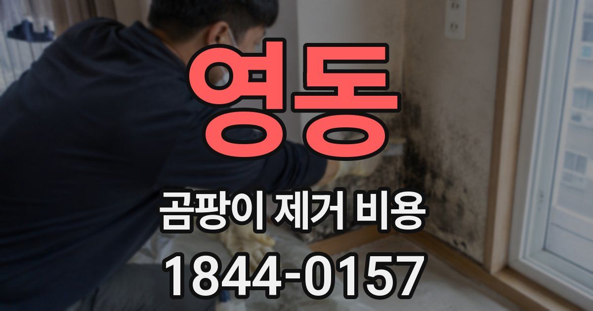 영동 곰팡이 제거 비용