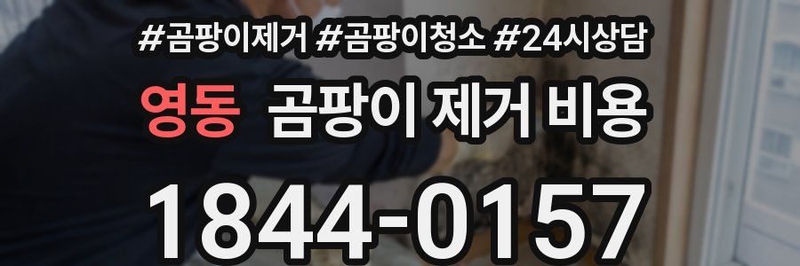 영동 곰팡이 제거 비용