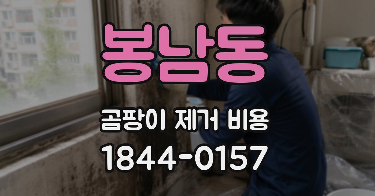 봉남동 곰팡이 제거 비용