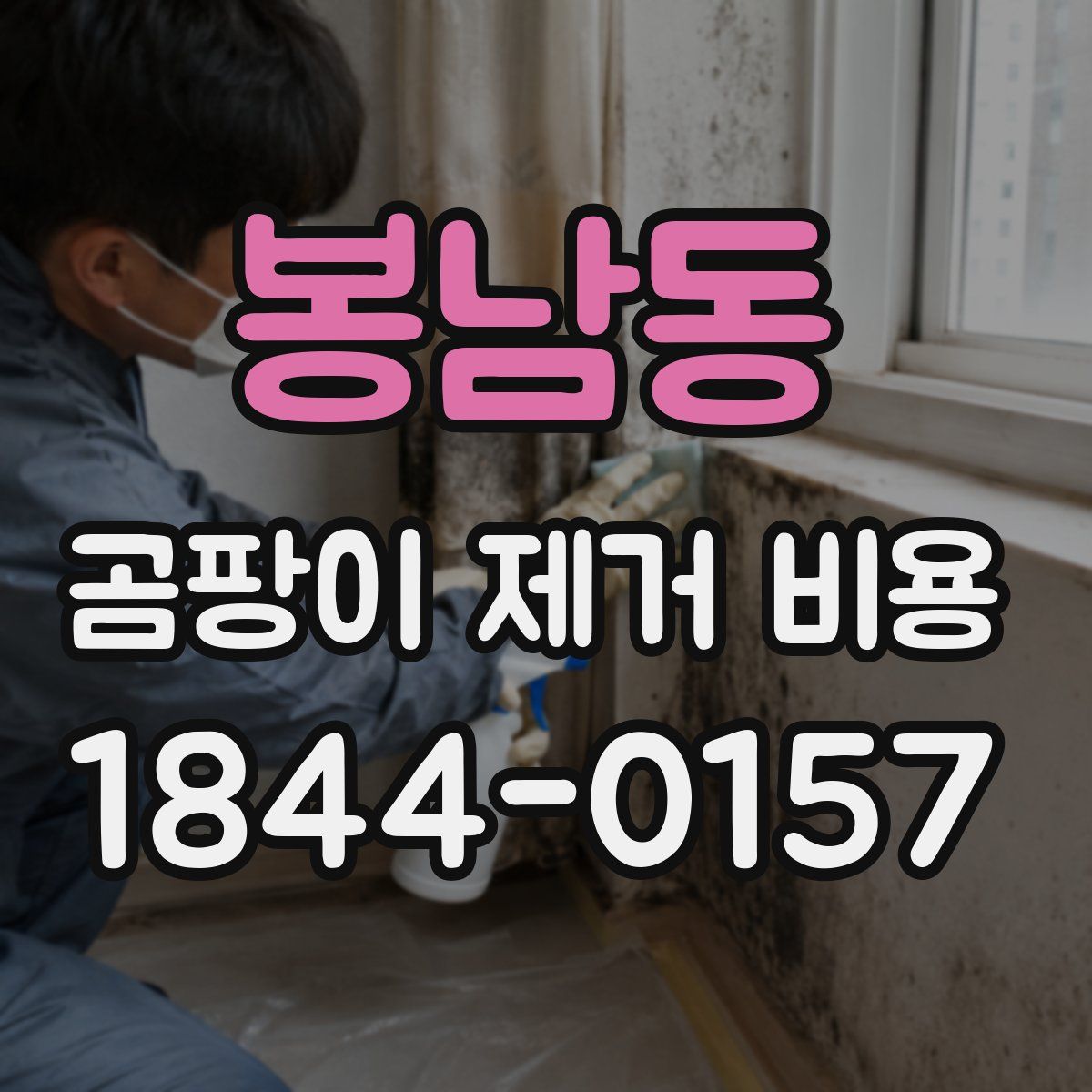 봉남동 곰팡이 제거 비용