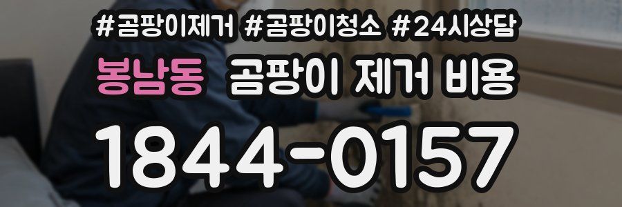 봉남동 곰팡이 제거 비용