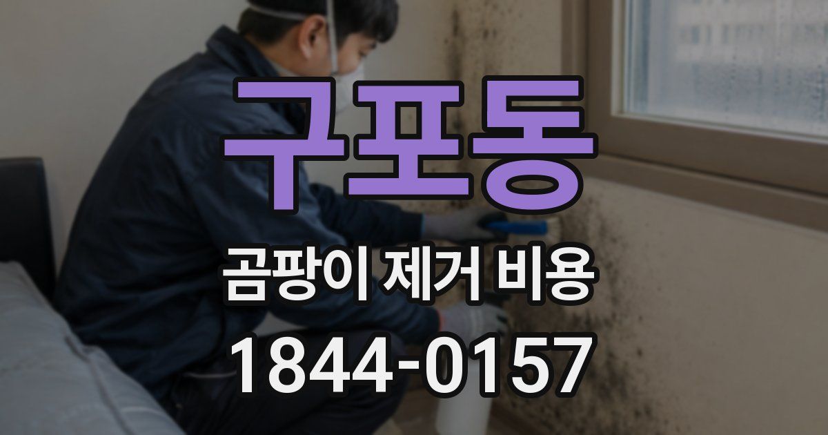 구포동 곰팡이 제거 비용