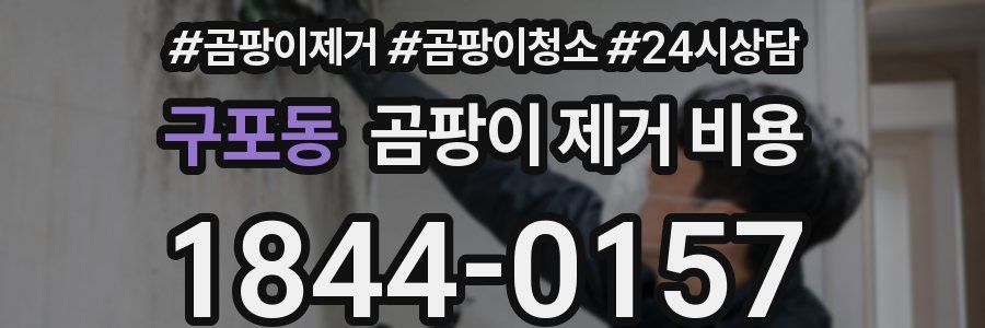 구포동 곰팡이 제거 비용