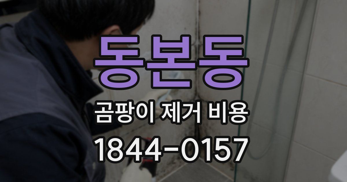 동본동 곰팡이 제거 비용