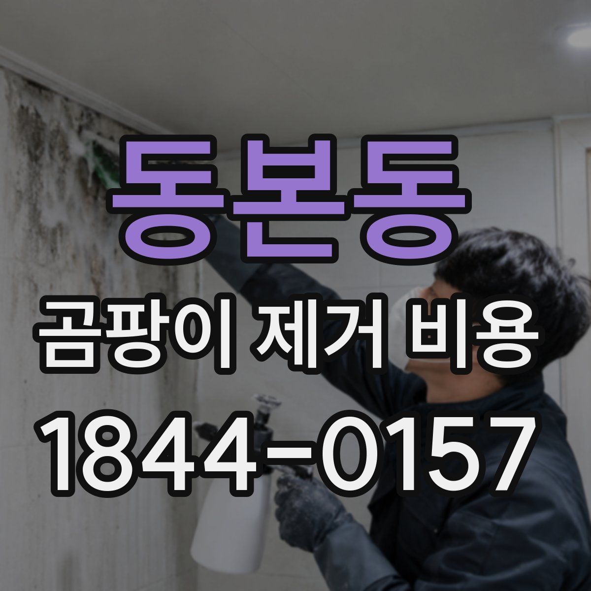 동본동 곰팡이 제거 비용