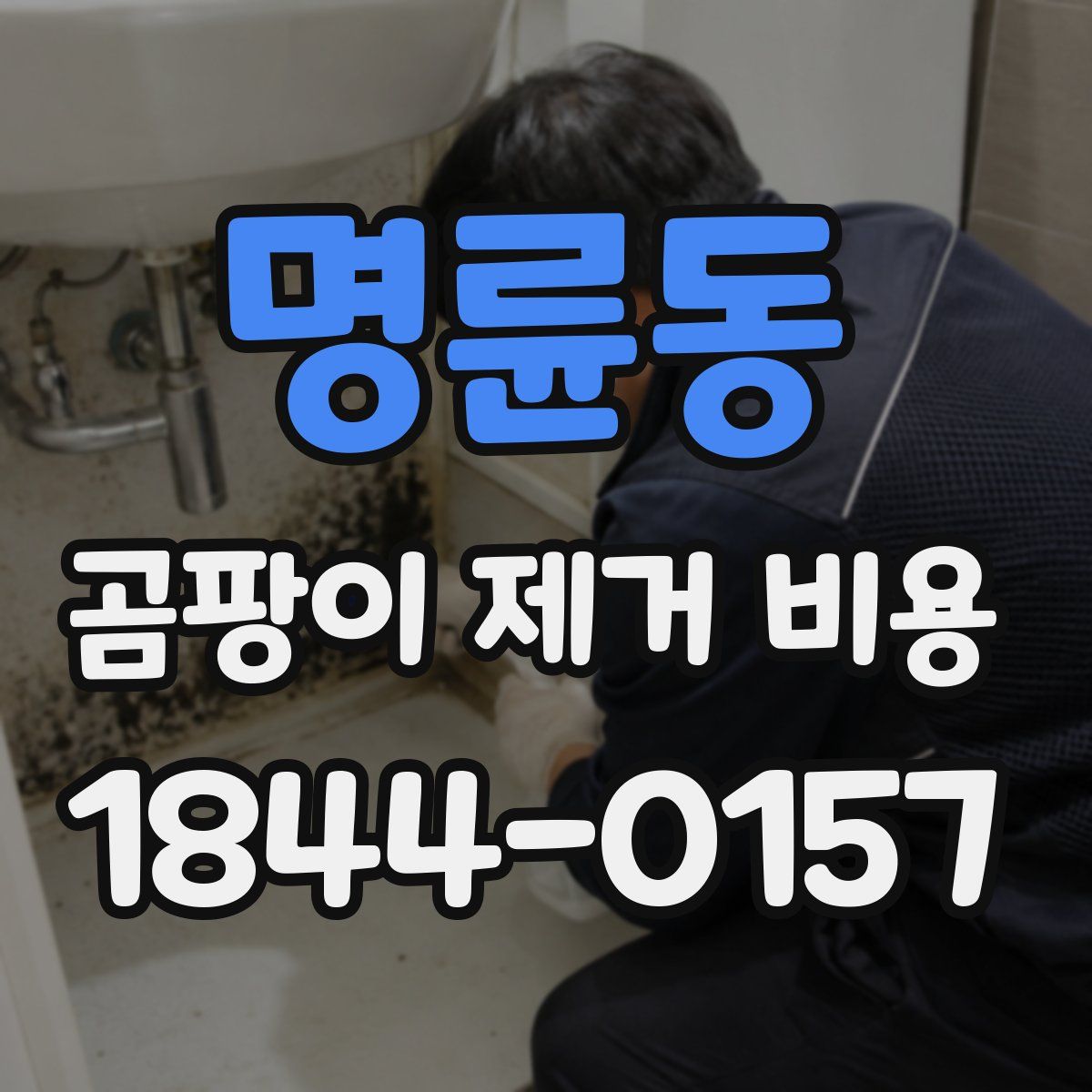 명륜동 곰팡이 제거 비용