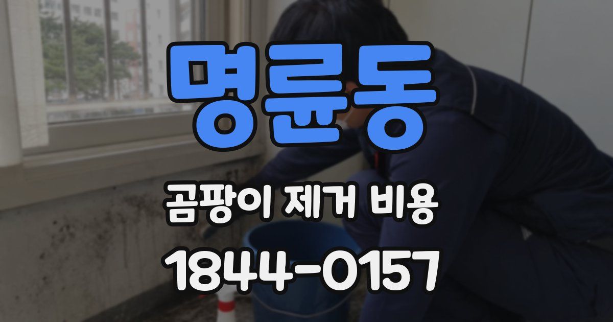 명륜동 곰팡이 제거 비용