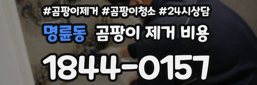 명륜동 곰팡이 제거 비용