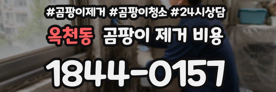 옥천동 곰팡이 제거 비용