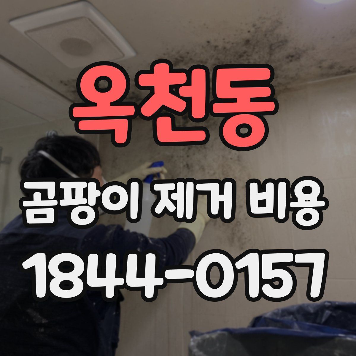 옥천동 곰팡이 제거 비용