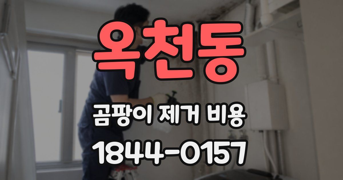 옥천동 곰팡이 제거 비용