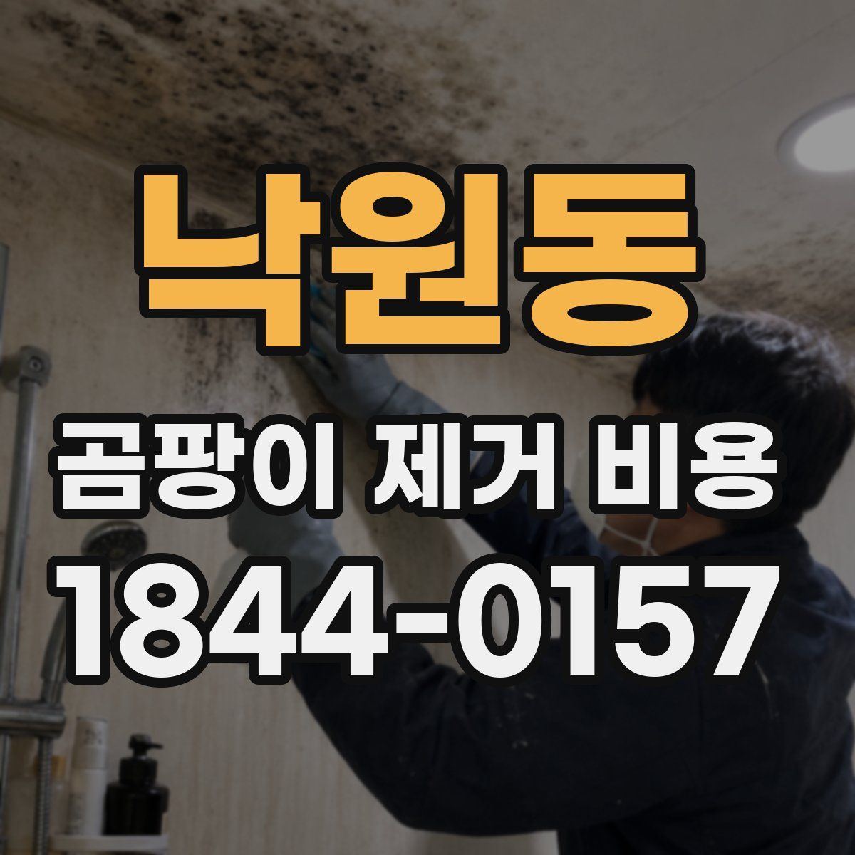 낙원동 곰팡이 제거 비용