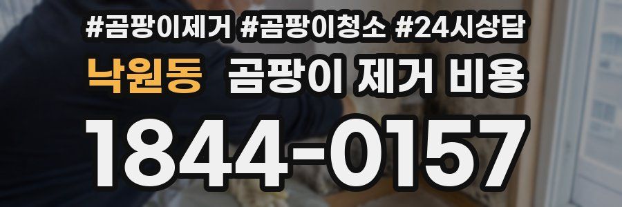 낙원동 곰팡이 제거 비용