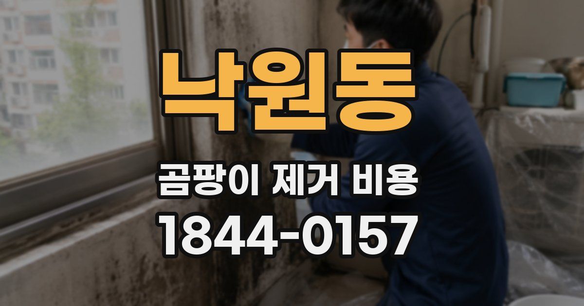 낙원동 곰팡이 제거 비용