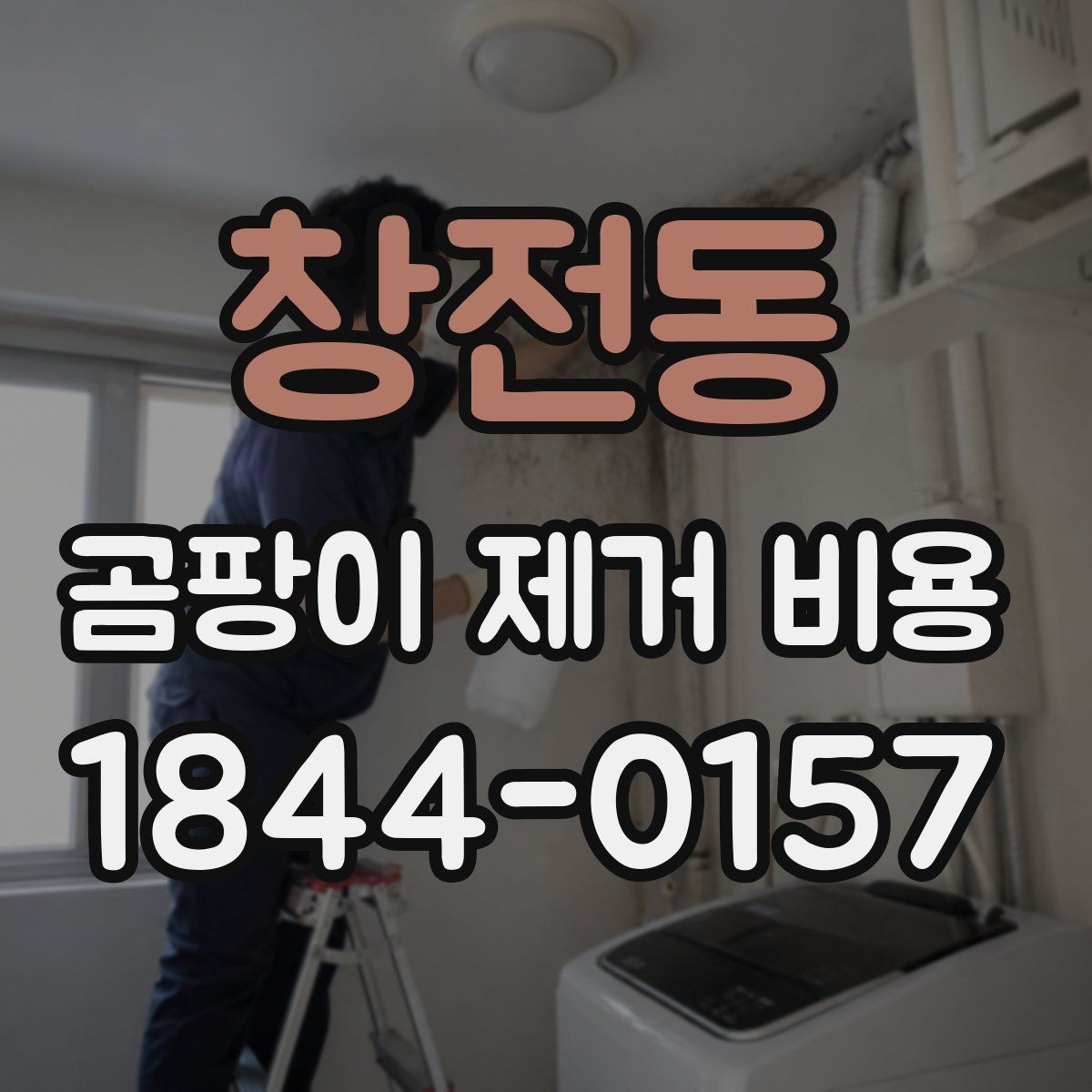 창전동 곰팡이 제거 비용 부분 보수로 끝나는 경우와 전체 시공 기준