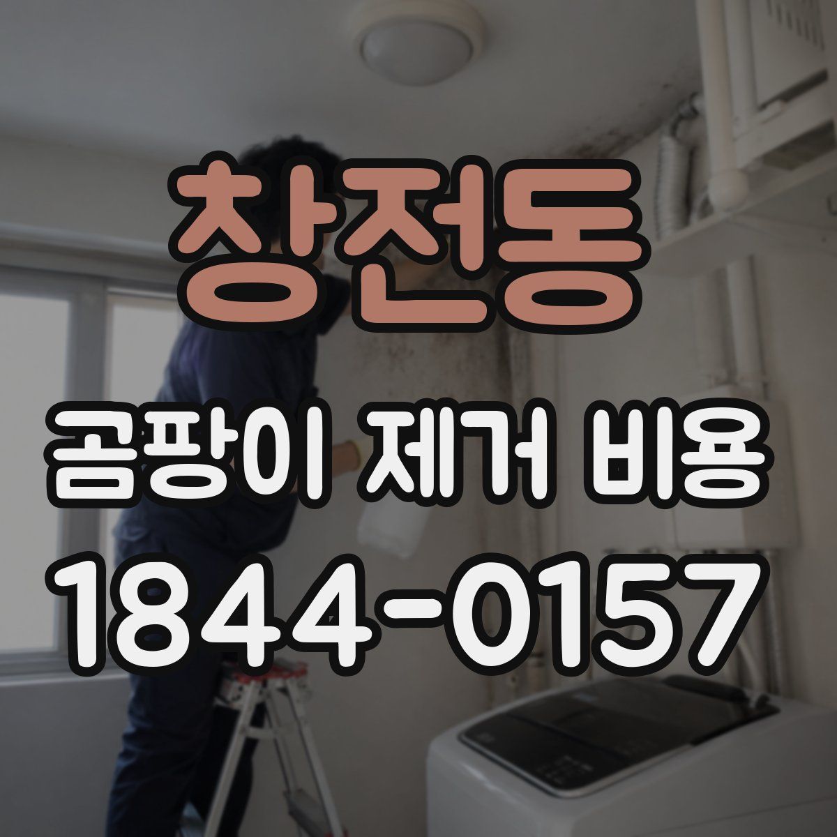 창전동 곰팡이 제거 비용