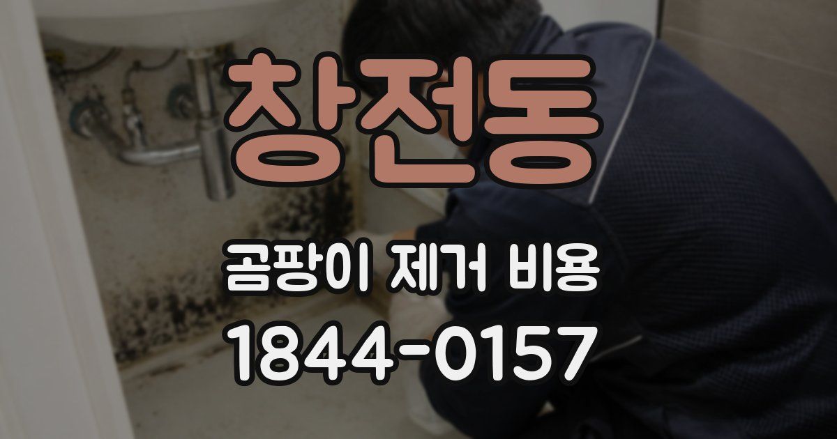 창전동 곰팡이 제거 비용