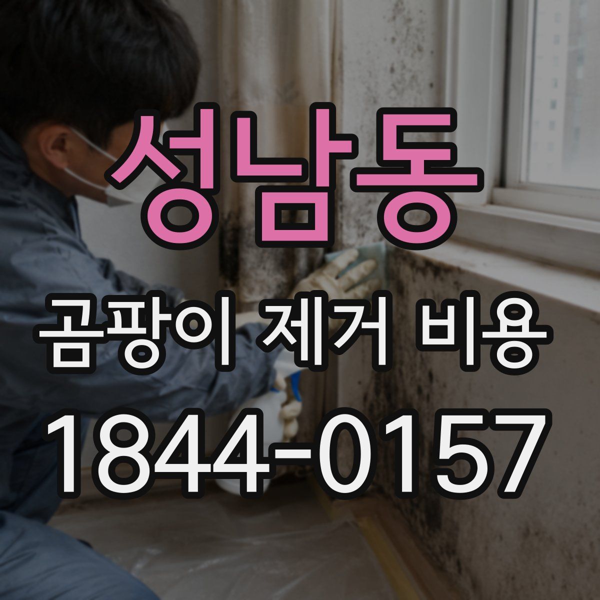 성남동 곰팡이 제거 비용