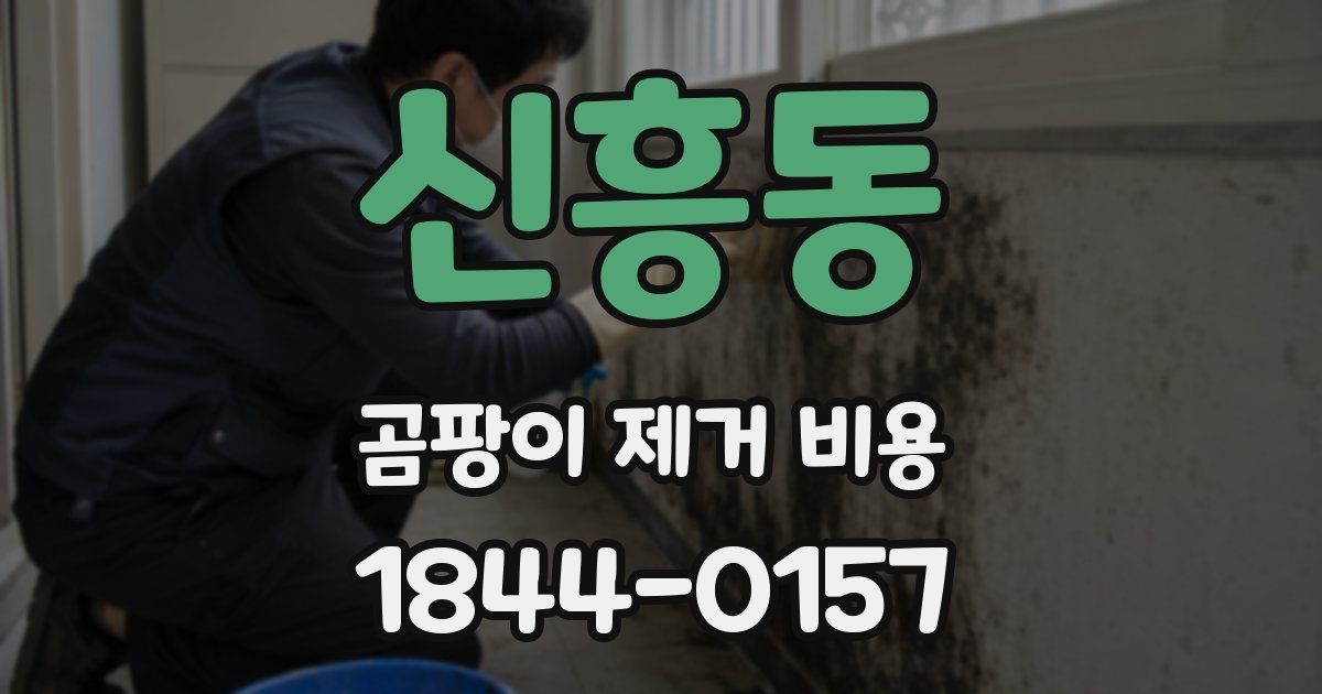 신흥동 곰팡이 제거 비용