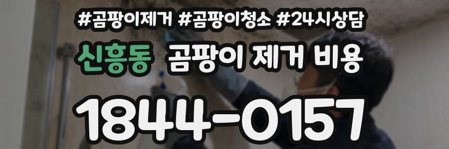 신흥동 곰팡이 제거 비용