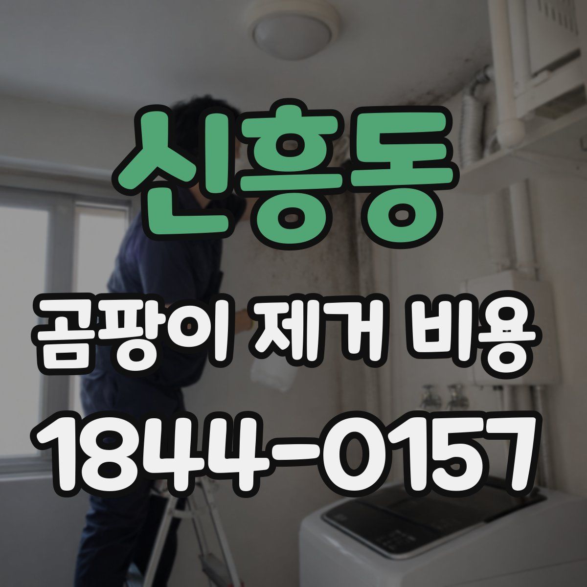 신흥동 곰팡이 제거 비용