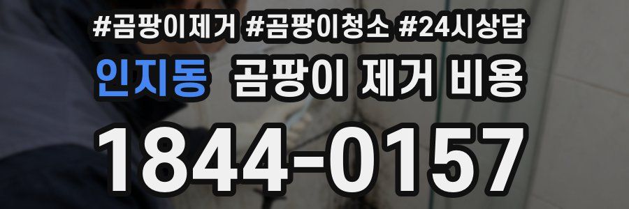 인지동 곰팡이 제거 비용