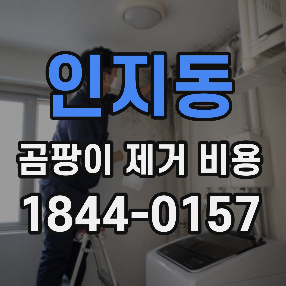 인지동 곰팡이 제거 비용