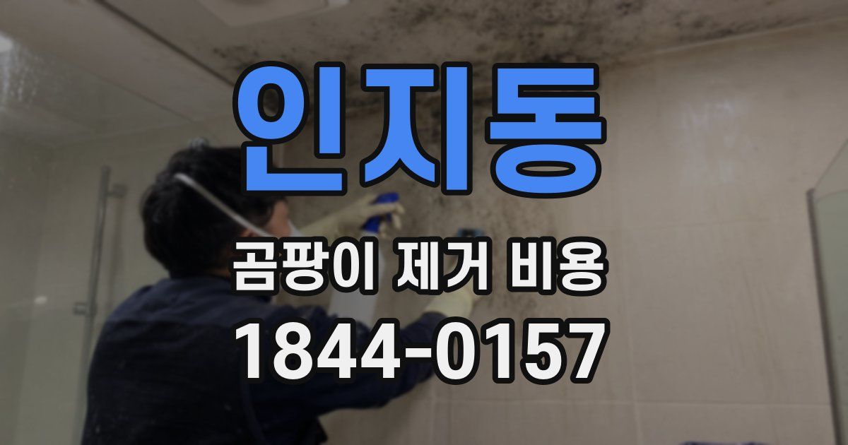인지동 곰팡이 제거 비용