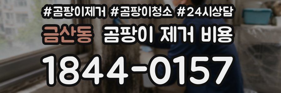 금산동 곰팡이 제거 비용